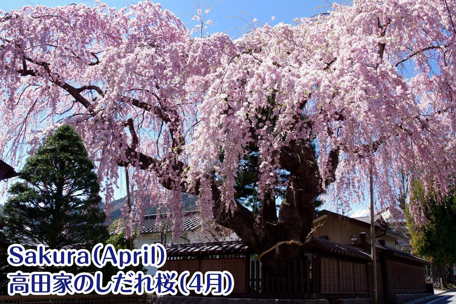 Nikko Stay House Arai - Vacation Stay 14994V 외부 사진